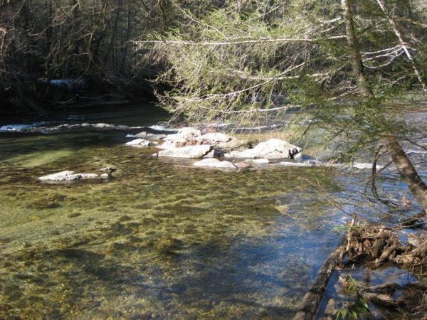 Our lunchtime view of the river.