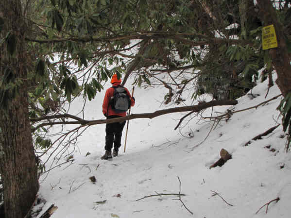 The recent winter storm has brought down several trees across the trail.