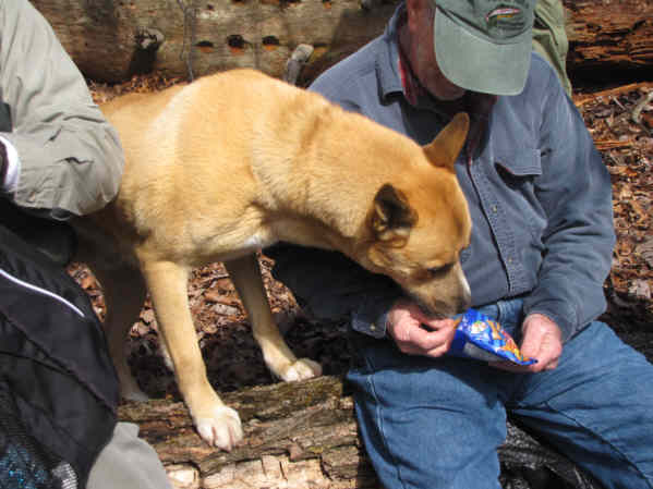Everyone shared some lunch with our new canine friend!