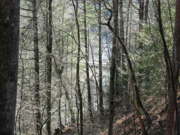 Looking back down to the bridge from the trail.