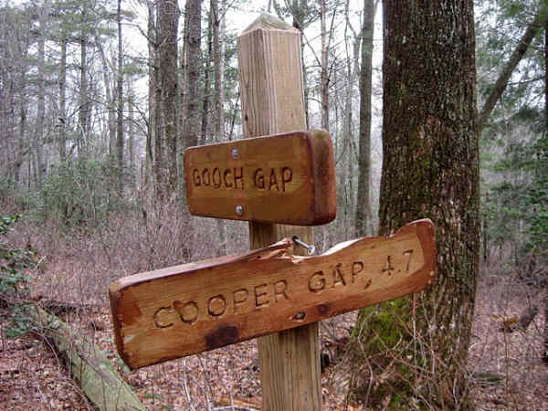 Trail marker at Gooch Gap.