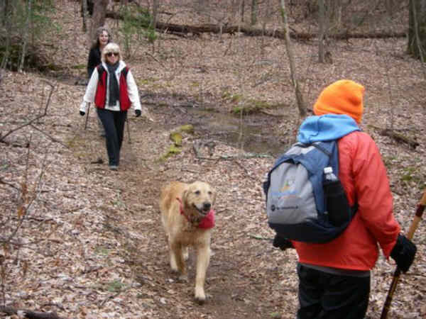 Our trail dog today is "Ty" Wintle.