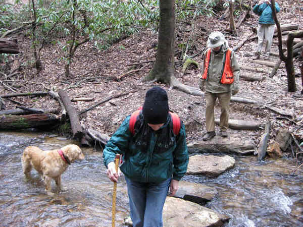 Crossing Blackwell Creek