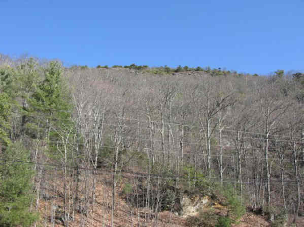 Looking up to Scaly Mountain from Osage Overlook.
