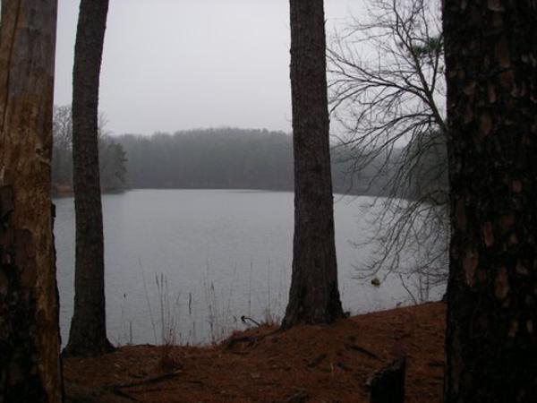 Views of Lake Russell all along the trail.