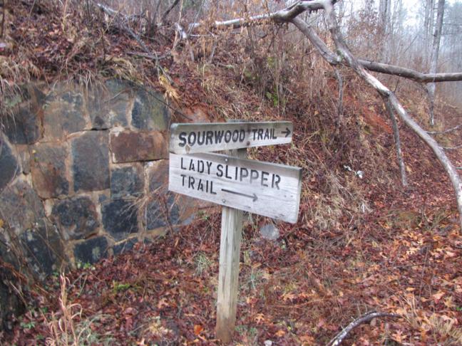 Next, we head over to the Sourwood Trail.