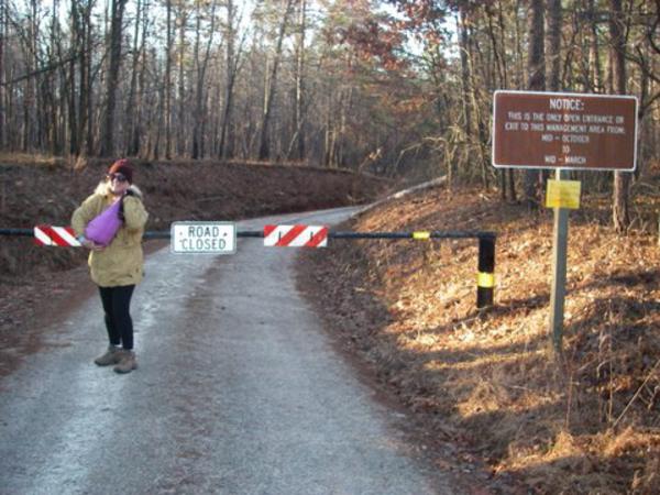 We hiked the road 1.6 miles to the trailhead.