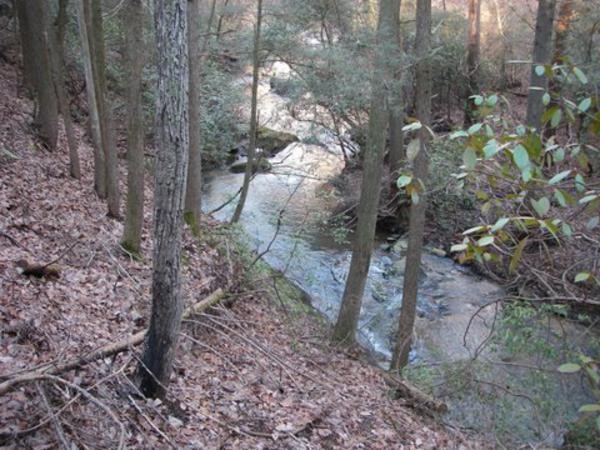 Looking down on Dicks Creek.