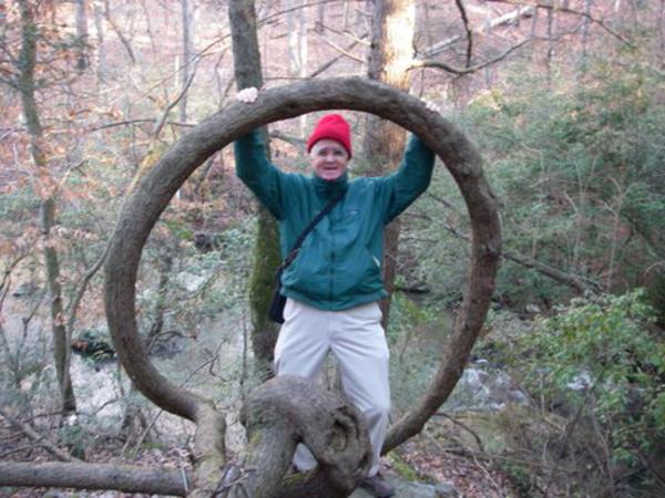 Nature's marvel - We always enjoy seeing this old hemlock tree that somehow got twisted when it was young and grew into a circle. It still has green growth!