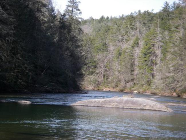 The beautiful Chattooga River!