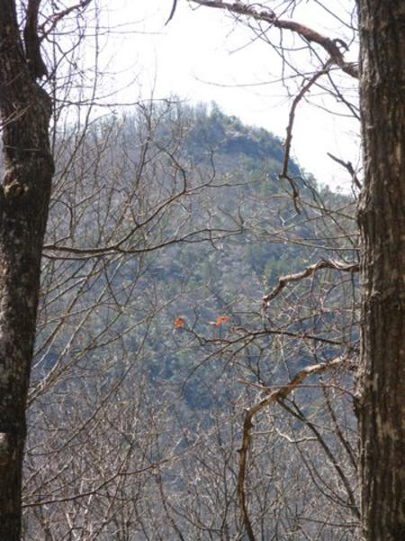Looking up to Pinnacle Knob.