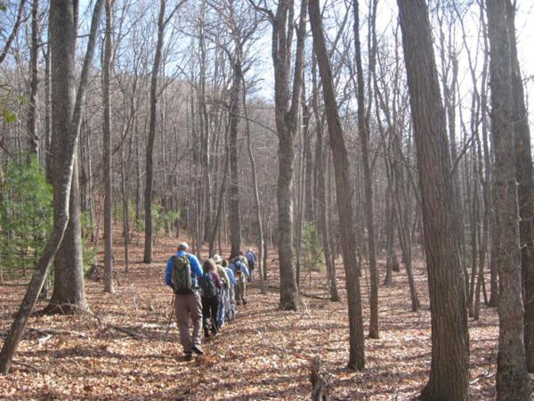 The beauty of hiking in a hardwood forest in wintertime!