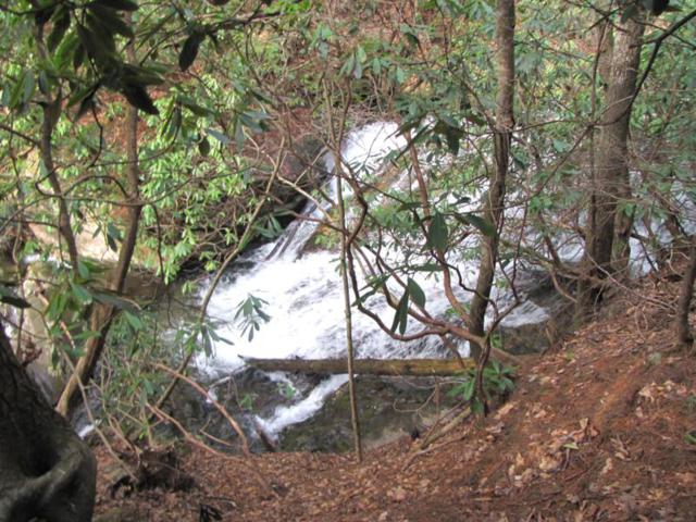 The Raven Cliffs Trail follows beautiful Dodd Creek all the way to the cliffs.
