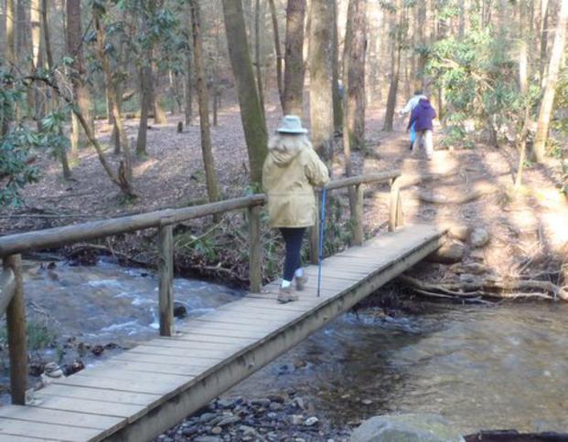 The trail crosses a side creek that runs into Dodd Creek.