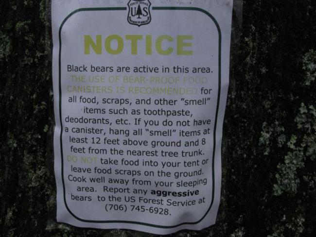 One of the thru-hikers told us that a Black Bear stole some of his food the night before.