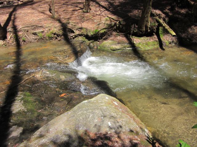 Martin Creek