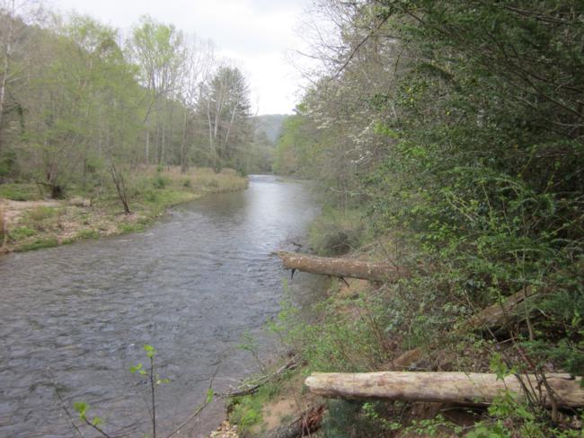 A calm stretch of the Chattooga River.