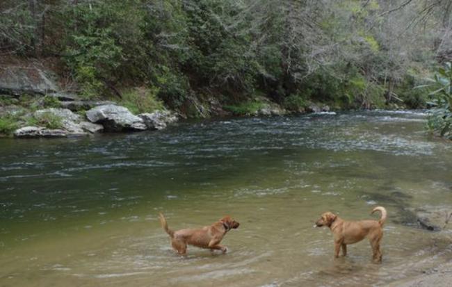 Cooling off!