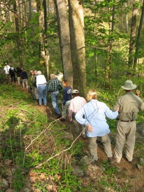 We took a very slow walk through the lush Sosebee Cove natural area observing the amazing population of wildflowers.