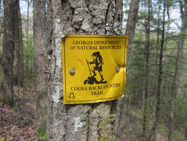 After finishing Sosebee Cove, we moved down the road a short distance and hiked on the Coosa Backcountry Trail.