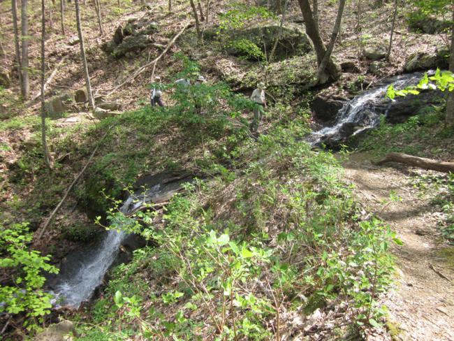 A beautiful feature of this trail is the nice waterfall that the trail crosses.