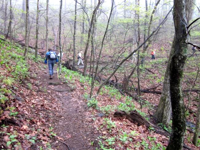 Continuing up the trail near Slaughter Gap.