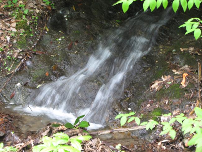 A nice little waterfall.
