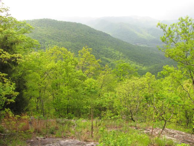Nice mountain views along the trail!