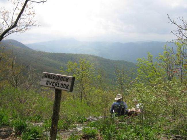 The view from Wolf Rock Overlook!