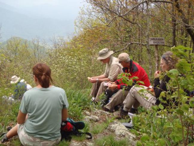 Lunchtime at Wolf Rock.