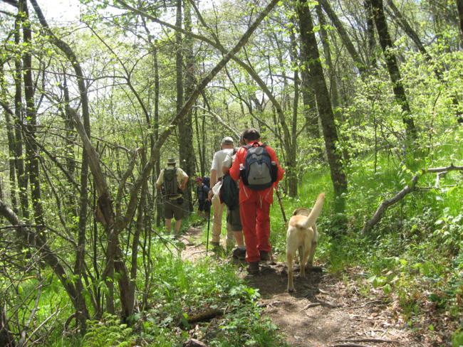 Another great day for a hike!
