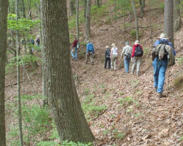 Another great day for a hike!