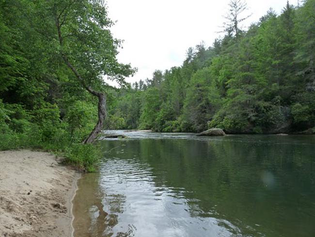 Our lunch spot on the Chattooga.