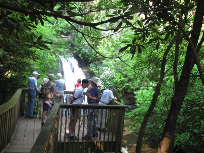 Our group enjoying the observation deck at Blue Hole Falls.