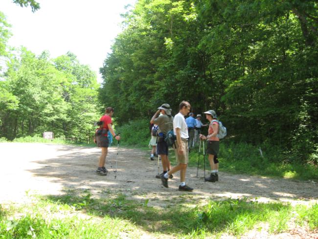Getting ready to tackle the climb up to the summit of Tray Mt.