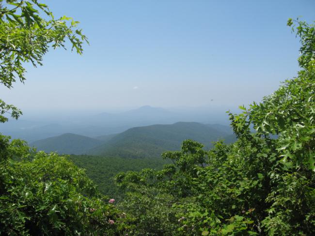 Beautiful but hazy view from Tray Mt.