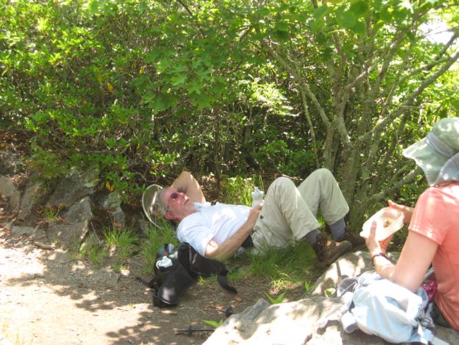 Cooling off in the shade at lunchtime.