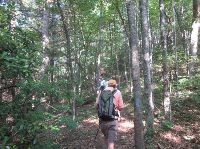 Headed up the long steep climb on The Jack's Knob Trail.