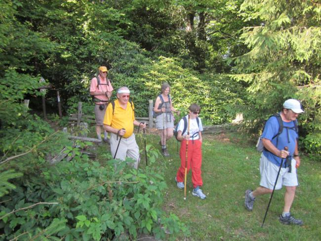 We exit the Jack's Knob trail onto the parking lot at Brasstown Bald.