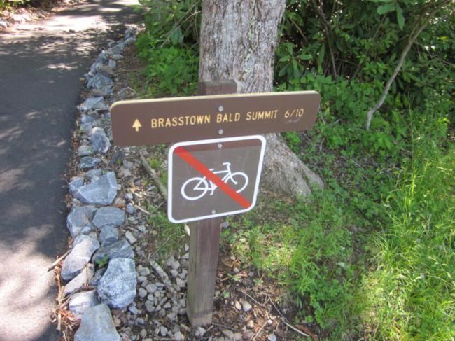 The Brasstown Bald Trail starts behind the General Store.