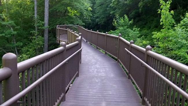 Next to the parking lot is a very nice boardwalk and observation deck.