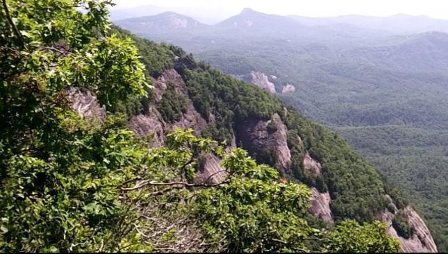 Some of the rock cliffs where Peregrine Falcons nest.