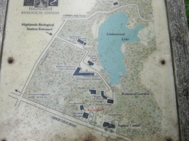 Next, we move over to the nature trails at Highlands Biological Station.