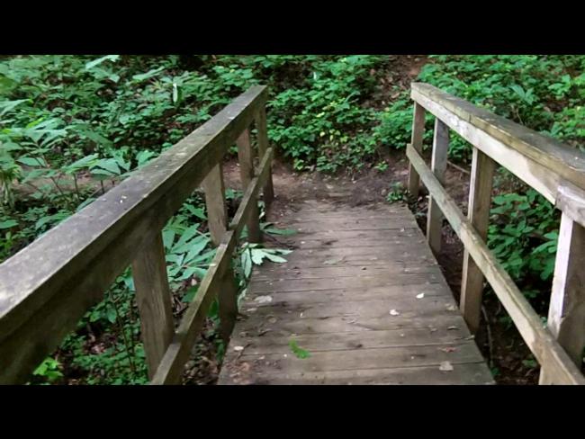 A well-maintained trail with nice foot-bridges.