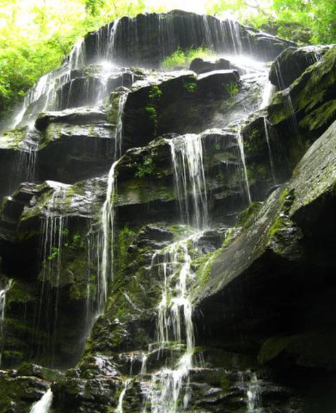 Yellow Branch Falls