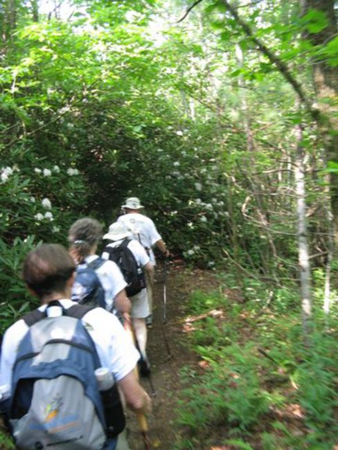 Another great day for a hike on the Bartram Trail!
