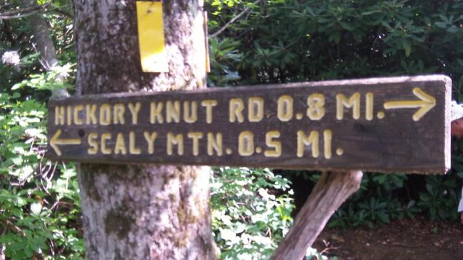 We did the side trail to Hickory Knut Rd. before going to the summit of Scaly.