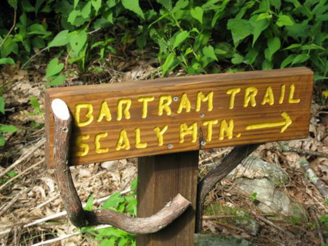 The new trail sign at Hickory Knut Rd.