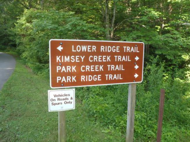 Many nice trail options today!