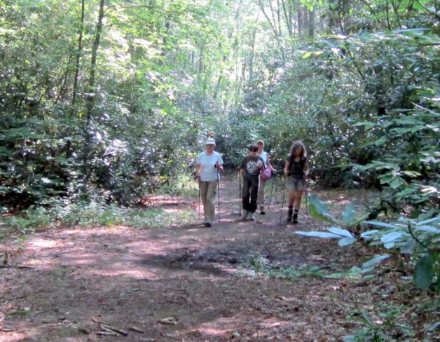Another great day for a hike on the Kimsey Creek Trail!